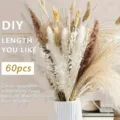 Bohemian Dried Pampas Grass Bouquet 60pcs Natural Reed Rabbit Tail Grass Floral Decor - Dried Flower Bouquet (HS204)