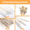 Natural pampas grass set 53 pieces dried flowers fluffy bunny tails boho home decor - 53 Pcs Combination 1 (With Box)-HS05