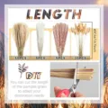 Natural dried pampas grass bouquet set, small reed floral arrangement 40cm for home decor. - 60 Pcs Combination 2 (With Box)-HS22