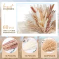 Natural dried pampas grass bouquet 60pcs fluffy floral arrangement for home decor wedding party - 60 Pcs Combination 3 (With Box)-HS98