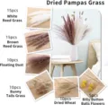Dried pampas grass natural decorative dried flowers bouquet for home decor and wedding arrangement - 65 Pcs Combination 1 (With Box)-HS97