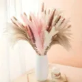 Ramo de hierba de la pampa seca colorida con florero de ceramica blanca para decoracion - HS180