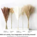 Natural dried pampas grass bouquet assorted fluffy reed for boho home decor floral arrangement. - 67 Pcs Combination 1 (With Box)-HS49