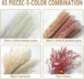 65pcs natural dried pampas grass bouquet assorted reed flower arrangement for home decor - 69 Pcs Combination 1 (With Box)-HS102