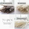 Dried pampas grass bouquet 70 pcs set fluffy natural reed grass for home decor living room - 70 Pcs Combination 1 (With Box)-HS71
