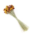 Natural dried strawflowers bundle, colorful daisy dried floral bunch for home decor and DIY. - 10 Pieces