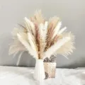 Ramo de hierba de la pampa seca natural con jarrón de cerámica blanca para decoración del hogar. - Ramo de Flores Secas en Jarrón de Cerámica (HS63)