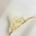 Mini dried flower bouquet closeup, perfect for wedding boutonniere or gift box decoration. - XH120