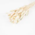Ramo de flores secas blancas hierba natural decoración minimalista para casa hogar - Blanco 50 Piezas/Paquete