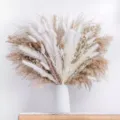 Natural dried pampas grass bouquet bunny tails reed floral arrangement for home decor - HS161