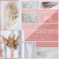 Natural dried pampas grass bouquet 80 pcs mixed bunny tails reed for home decor. - 80 Pcs Combination 3 (With Box)-HS24
