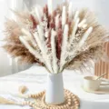 Dried pampas grass bouquet small reed dry flowers for home living room party decor variant. - HS176