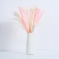 Bouquet d'herbe de pampas séchée queue de lapin avec vase blanc pour déco de mariage - GHS03