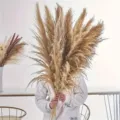 Natural dried pampas grass, large fluffy reed plumes for wedding home decor and photography props. - Male Pampas Grass 70-80cm