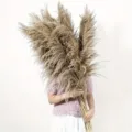 Large natural dried pampas grass fluffy reed for wedding floral arrangement home decor boho. - Male Pampas Grass 50-60cm