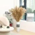 Natural large pampas grass dry reeds for home decor, wedding arrangement and photography props. - Male Pampas Grass 40-50cm