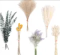 Dried flowers bouquet set, pampas grass, eucalyptus, home wedding decor, natural plant bundle. - RK-65pcs