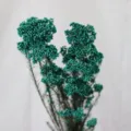 Bouquet de fleurs de riz préservées vertes pour décoration de maison et arrangement. - Bleu Tiffany
