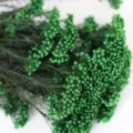 Branches de fleurs de riz préservées vertes pour décoration maison DIY, arrangement floral. - Vert
