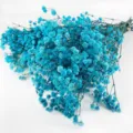 Beautiful blue preserved baby's breath dried flower bunch for romantic home decor and gifts. - Blue 1 Small Bundle