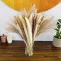 Ramo de hierba de la pampa seca natural colas de conejo carrizos arreglo floral para decoración. - HS06
