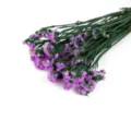 Bouquet di fiori secchi di statice viola per decorazioni per la casa fai da te composizione - Viola chiaro