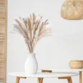 Dried pampas grass bouquet with white textured vase, natural boho floral decor for home. - HS10