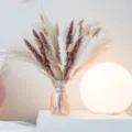 Decorative dried flower bouquet with fluffy pampas grass and glass vase for home decor. - HS11