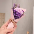 Mini gedroogd boeket paarse anjer romantisch cadeautje voor verjaardag van vrouwen. - Paarse Anjer Zeepbloem Mini