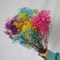 Colorful preserved baby's breath dried flowers bouquet for home decor, wedding and gifts. - Colorful (Random Mix)