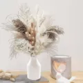 Dried Pampas Grass Bouquet White Vase Small Reed Home Decor Boho Floral Arrangement - HS07