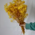 Yellow dried baby breath flowers bouquet, preserved Gypsophila for floral arrangement decor. - Yellow