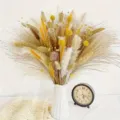 Ramo de flores secas hierba de pampa natural decoración floral esponjosa para hogar regalo - HS189