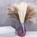 Ramo de hierba de pampa seca con florero de vidrio violeta para decoración de sala y foto. - Ramo de Flores Secas en Jarrón de Vidrio (HS65)