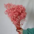 Pink preserved baby's breath dried flowers bouquet, gypsophila floral arrangement for home decor and gifts. - Light Pink