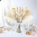 Ramo de hierba de pampa seca natural con florero blanco para decoración del hogar y fotos. - Juego de Flores Secas de Bola Dorada (HS62)