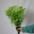 Green dried gypsophila flower bouquet for floral arrangement, home decor, and Valentine gifts. - Green