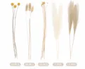 Natürlicher Trockenblumen Blumenstrauß, Pampasgras und Hasenschwanz für Wohnkultur. - 110 Stück Kombination 4 mit Innenbox