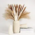 Natural dried pampas grass bouquet with ceramic vase, boho home decor and party photography props. - Feather Grass Dried Flower Combination (HS69)