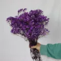 Purple preserved baby's breath dried flowers bouquet for romantic home decor gift - Purple