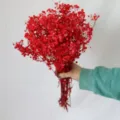 Preserved red baby's breath dried flowers bouquet for romantic home decor and exquisite gifts. - Red
