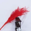 Bright red dried statice flower bouquet for home decor, floral arrangement and DIY gift box. - Red
