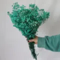 Preserved green gypsophila dried flowers bouquet for romantic home floral decor and gifts. - Default