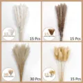 Natural dried pampas grass reed bunny tails bouquet bohemian home decor floral arrangement - 75 Pcs Combination 1 (With Box)-HS143