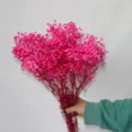 Preserved baby breath flowers bouquet bright pink dried gypsophila floral arrangement - Rose Red