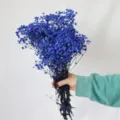 Blue preserved baby's breath dried flowers bouquet for romantic home decoration gifts. - Blue