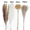 Natural dried pampas grass bouquet bunny tails dried flowers for home decor boho arrangement. - Dried Flower Bouquet (HS247) / Multicolor