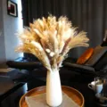 Dried Pampas Grass Bouquet with White Ceramic Vase for Living Room Home Party Decor Photo Props - HS20