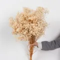 Natuurlijk gedroogd gipskruid bloemenboeket, perfect voor huisdecoratie en leuke cadeaus. - Kleine vervangende handvatten / Broken Wit
