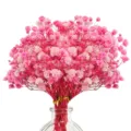 Close-up detail of pink and white dried baby's breath flowers in glass vase decor. - Pink 1 Small Bundle